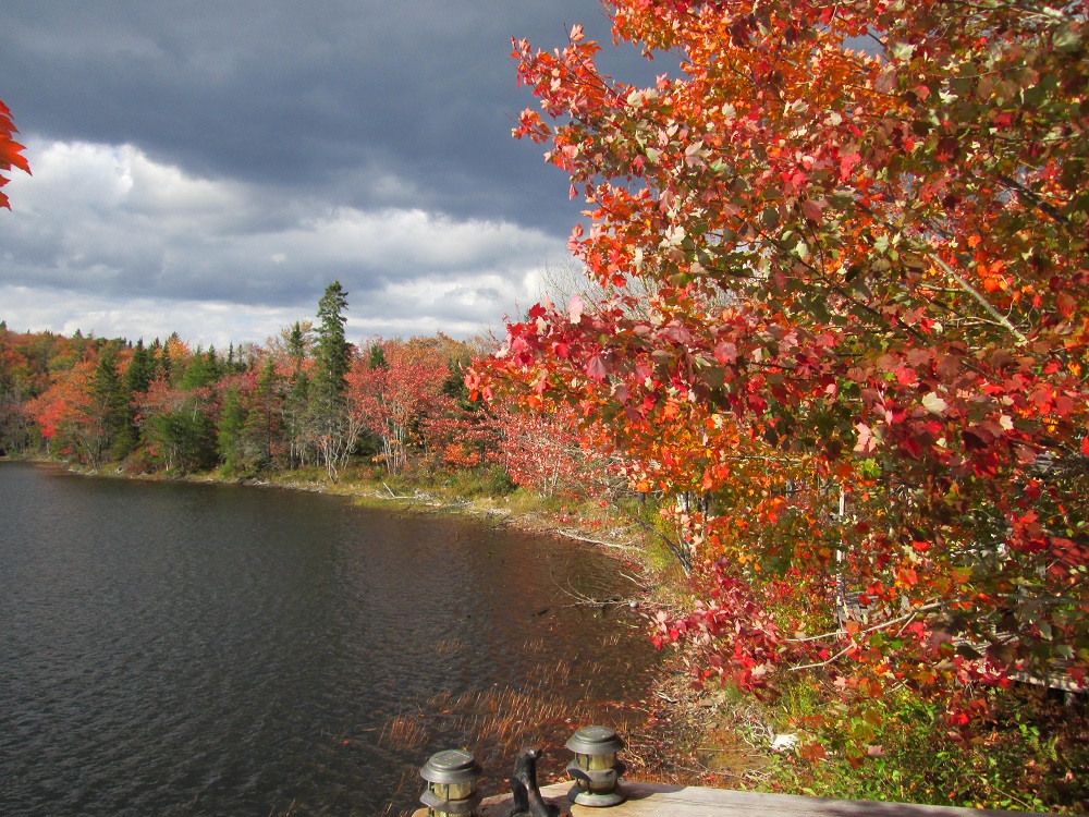 Country Harbour 17 Acre Property in Nova Scotia Shore Side Properties